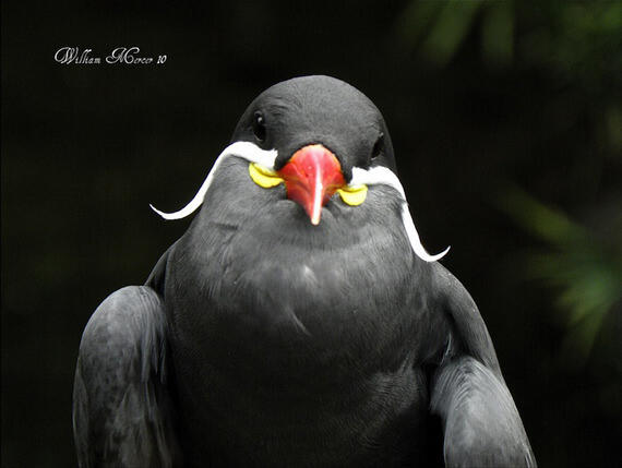 5 FAKTA GAK MASUK AKAL