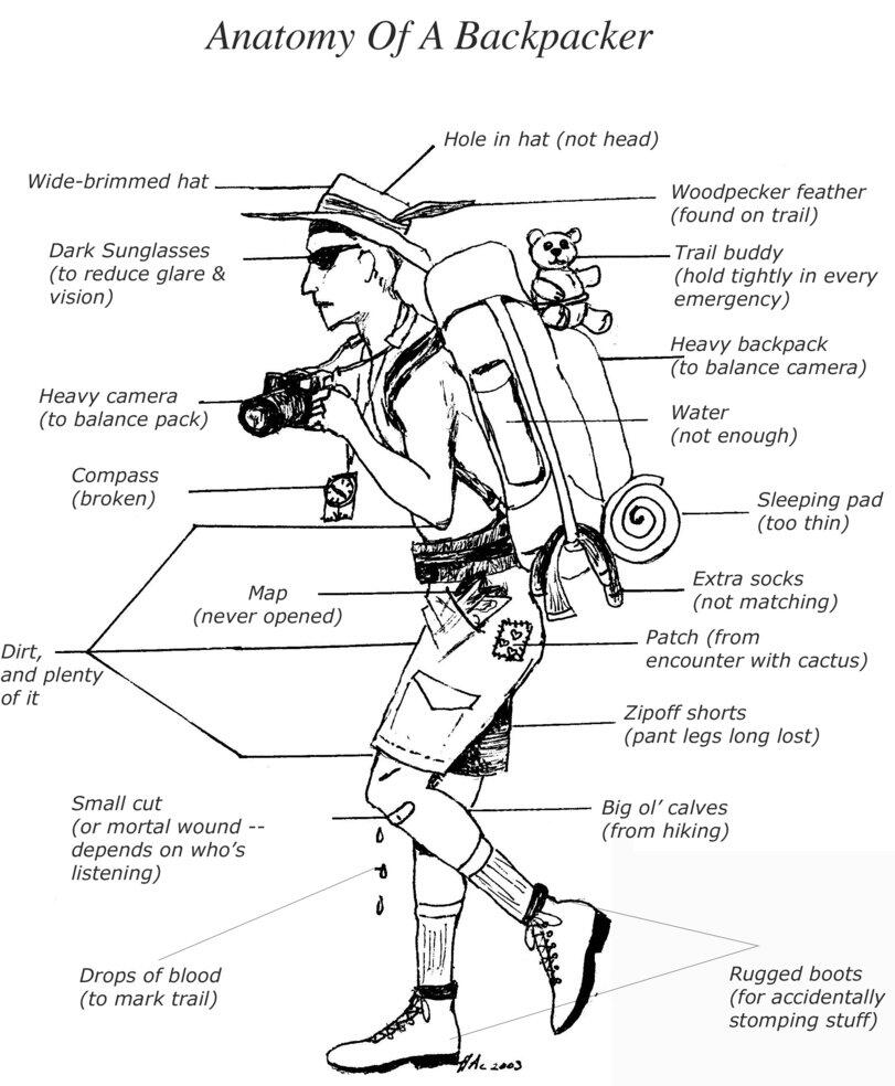 ANATOMY BACKPACKER