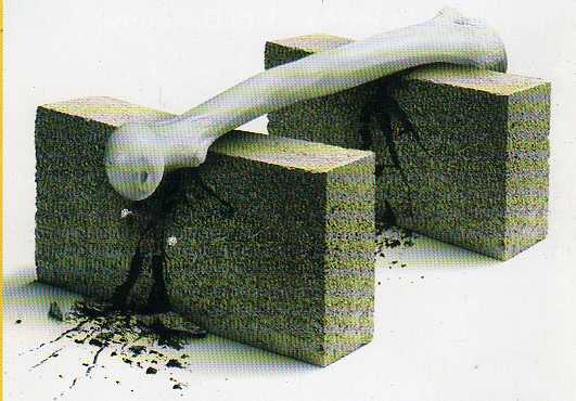 Agan Ga Suka Makan Ikan?? Cek Ini Dulu