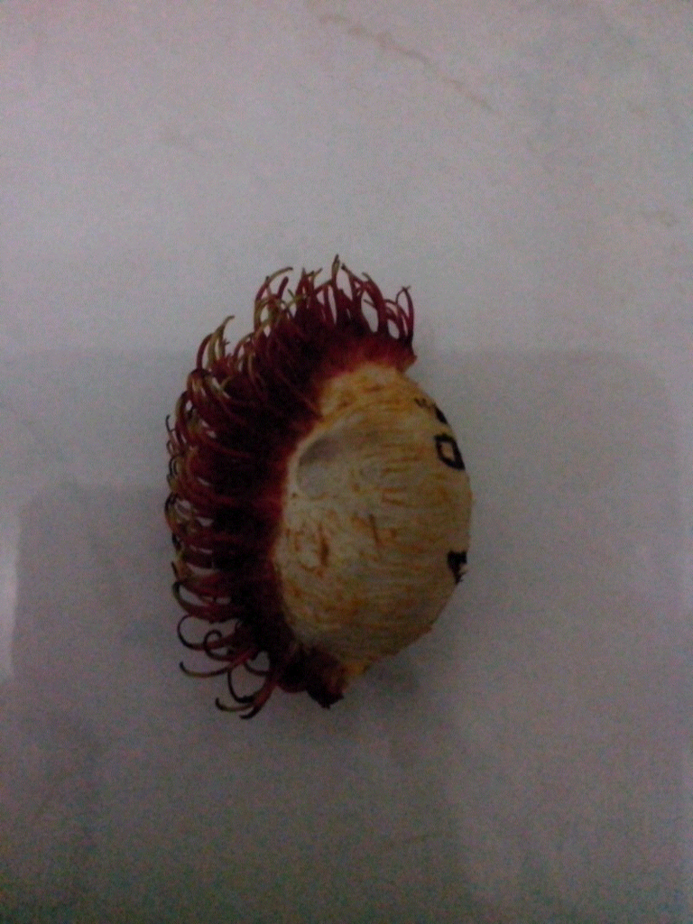 Waduh Rambutnya Gan.. &#91;+PIC&#93;