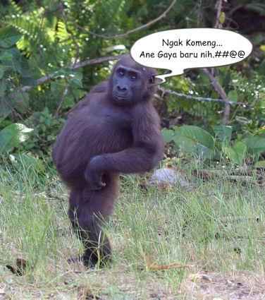 Ngak Mau Kalah ....gaya