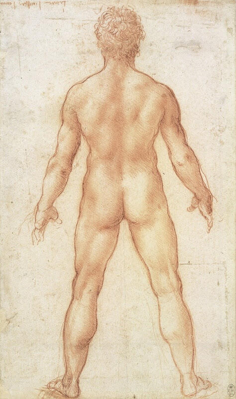&#91;Jenius&#93; Lukisan Menakjubkan Leonardo Da Vinci tentang Anatomi Manusia!