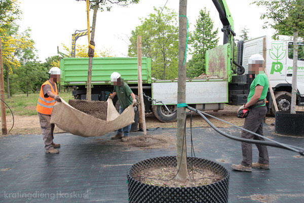 BOSCO VERTICALE: Hutan Vertikal Pertama Di Dunia &#91;CREATIVE GO GREEN&#93;