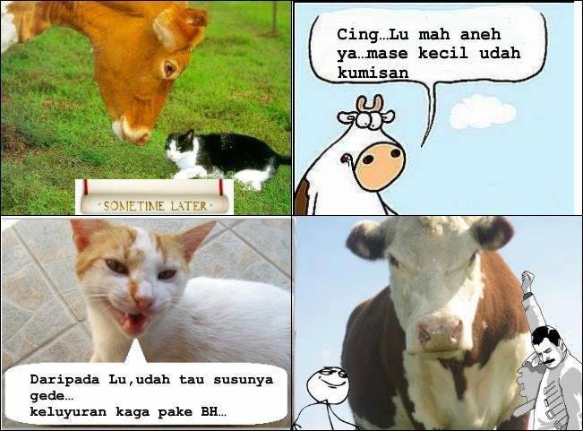 Kumpulan Gambar yg bikin Croott aweeeuuu