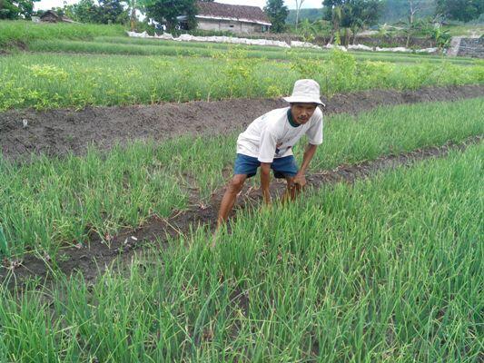 (Karena Bahagia Itu Sederhana)-Bahagia dalam bekerja