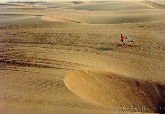 5 FAKTA GAK MASUK AKAL