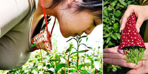 5 FAKTA GAK MASUK AKAL