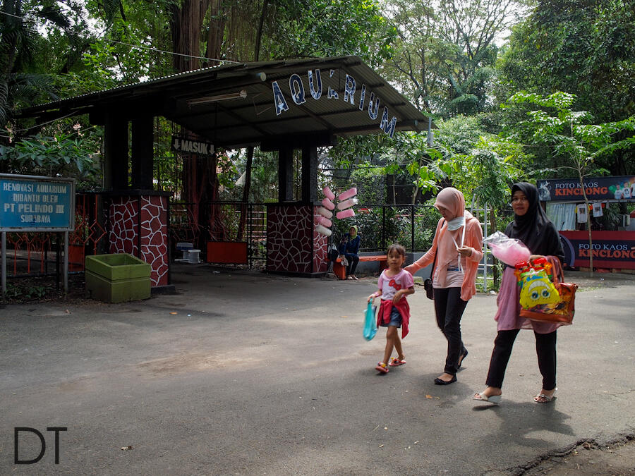 Short trip to KBS (Kebun Binatang Surabaya) foto kondisi ter update