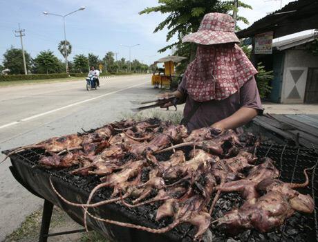 Mengenal 10 kuliner extreme yang ada di indonesia