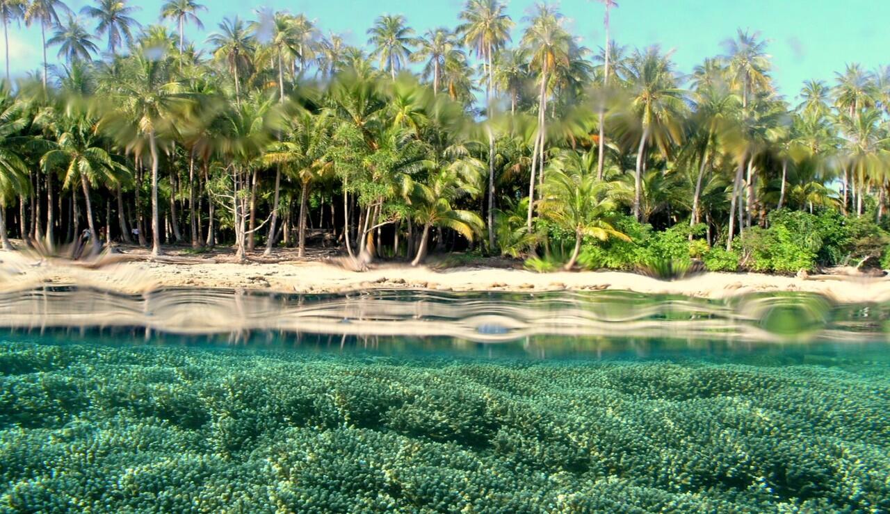 Gan alasan lain kenapa papua itu dibilang SURGA!! &quot;BIAK&quot;