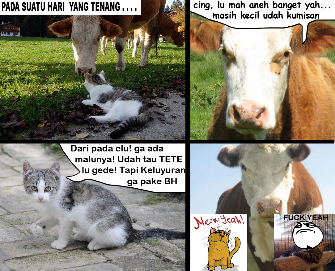 &#91;UPDATE&#93; Meme buatan ane gan #YAYANMEME di jamin ngakak *sudah terbukti*