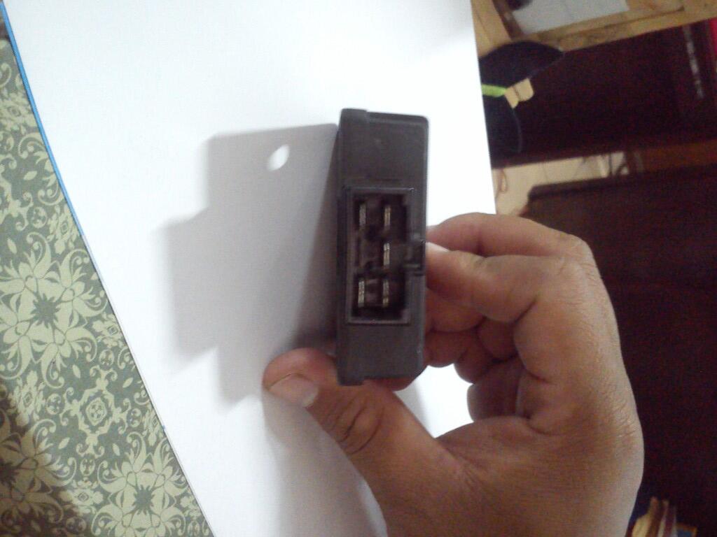 kiprok ori tiger