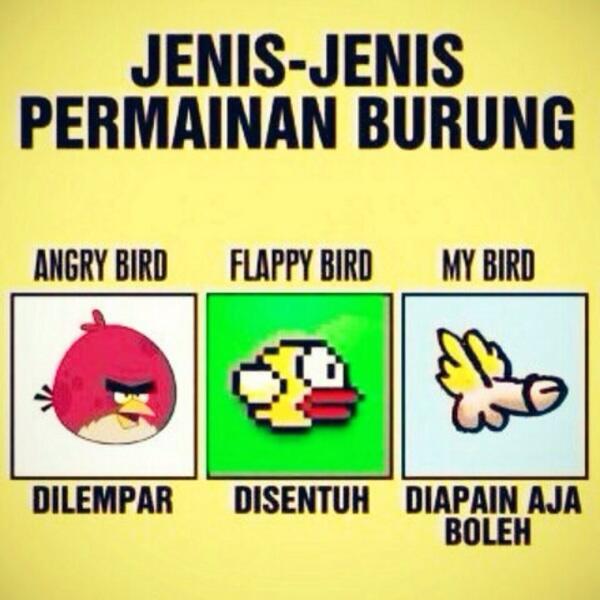 Jenis-jenis permainan burung !!