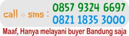 ACER ASPIRE 4741 Core i3 Murah aja (Bandung)