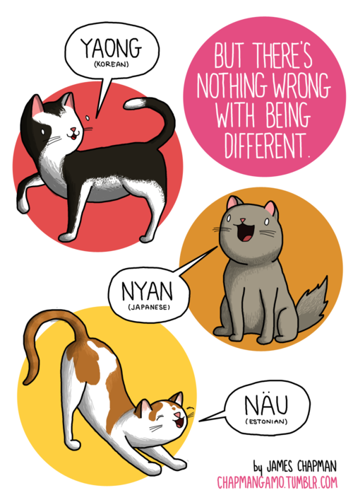 Perbedaan bahasa satu makna