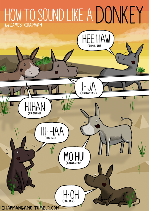 Perbedaan bahasa satu makna