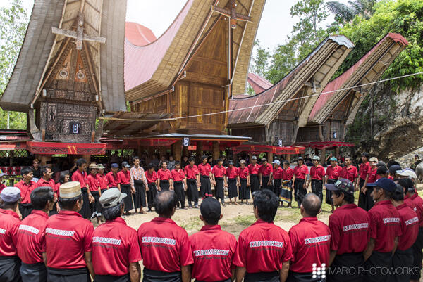 Uniquely Tana Toraja: Melihat Lebih Dekat Upacara Rambu Solo