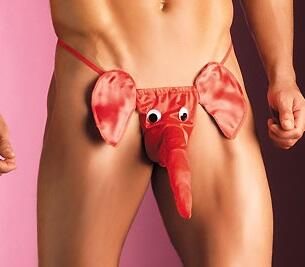 Macam -macam celana dalam ..mau coba...?