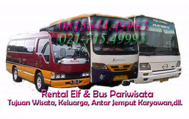 Cari Supir Pariwisata Elf &amp; Bus Medium