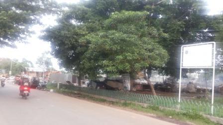 kebijakan Lurah Kapuk yang tidak pro warga "taman kota disulap jadi Tempat sampah"