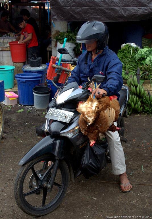 Bule mual mual di horror nya pasar tradisional Kota Tomohon, Sulawesi Utara