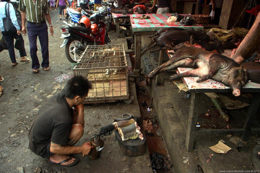 Bule mual mual di horror nya pasar tradisional Kota Tomohon, Sulawesi Utara