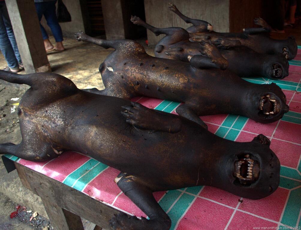 Bule mual mual di horror nya pasar tradisional Kota Tomohon, Sulawesi Utara