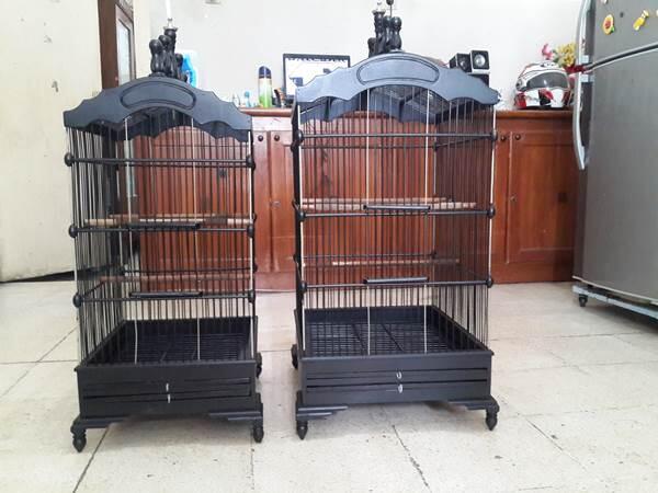Terjual Jual Sangkar ( Kandang ) Burung EBOD KASKUS Terjual Jual Sangkar ( Kandang ) Burung EBOD KASKUS