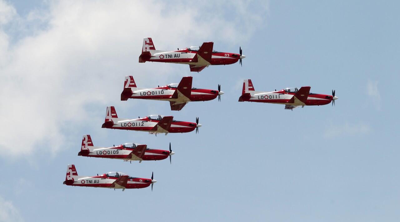 Team Aerobatic Dunia (Militer dan Sipil)