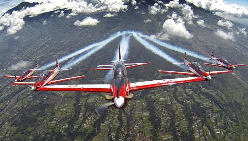 Team Aerobatic Dunia (Militer dan Sipil)