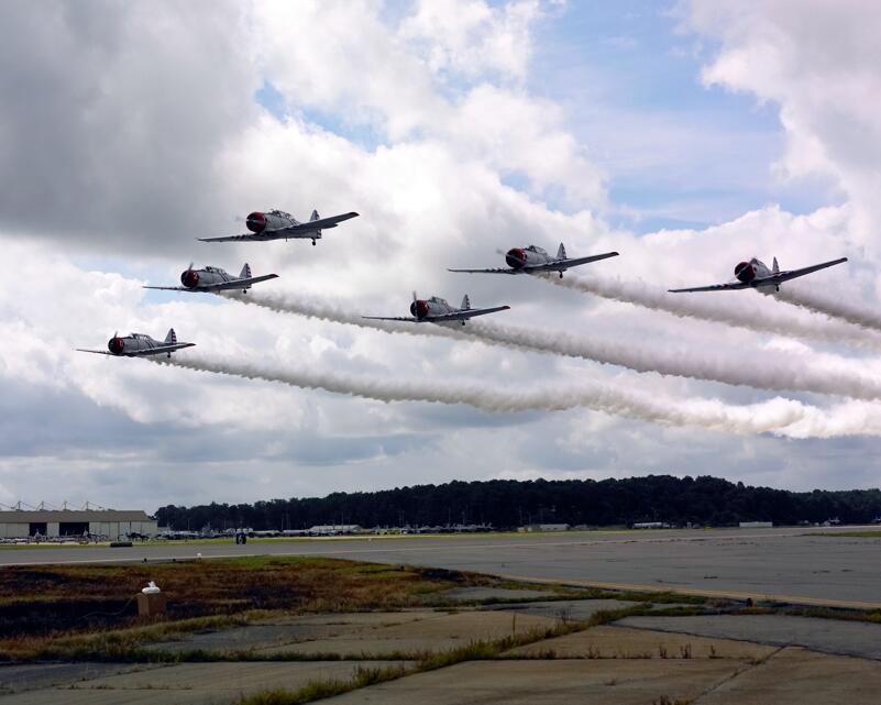 Team Aerobatic Dunia (Militer dan Sipil)