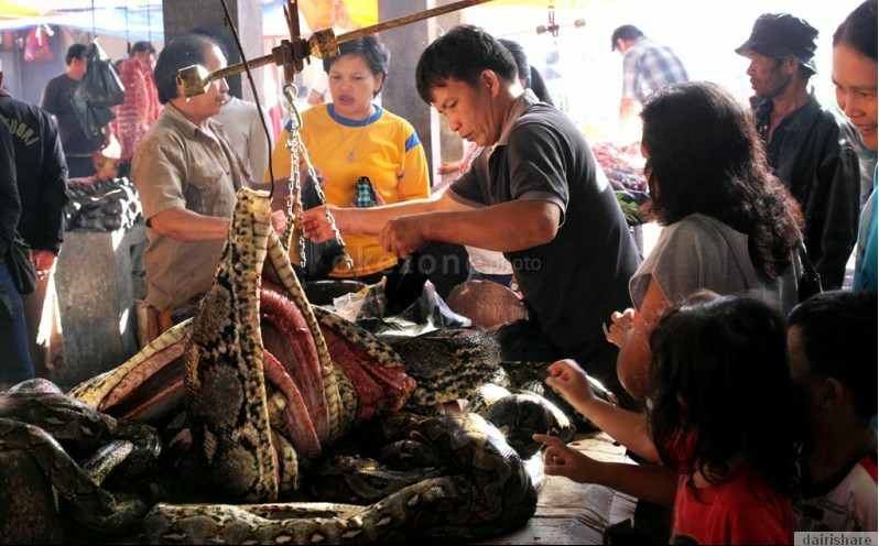Media Inggris: Pasar makanan 'TERSADIS' di Dunia ada di Indonesia !!!