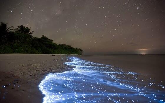 Di laut pun penuh Fenomena gan....