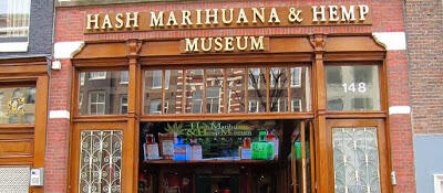Yuk, Intip Museum Ganja di Belanda!
