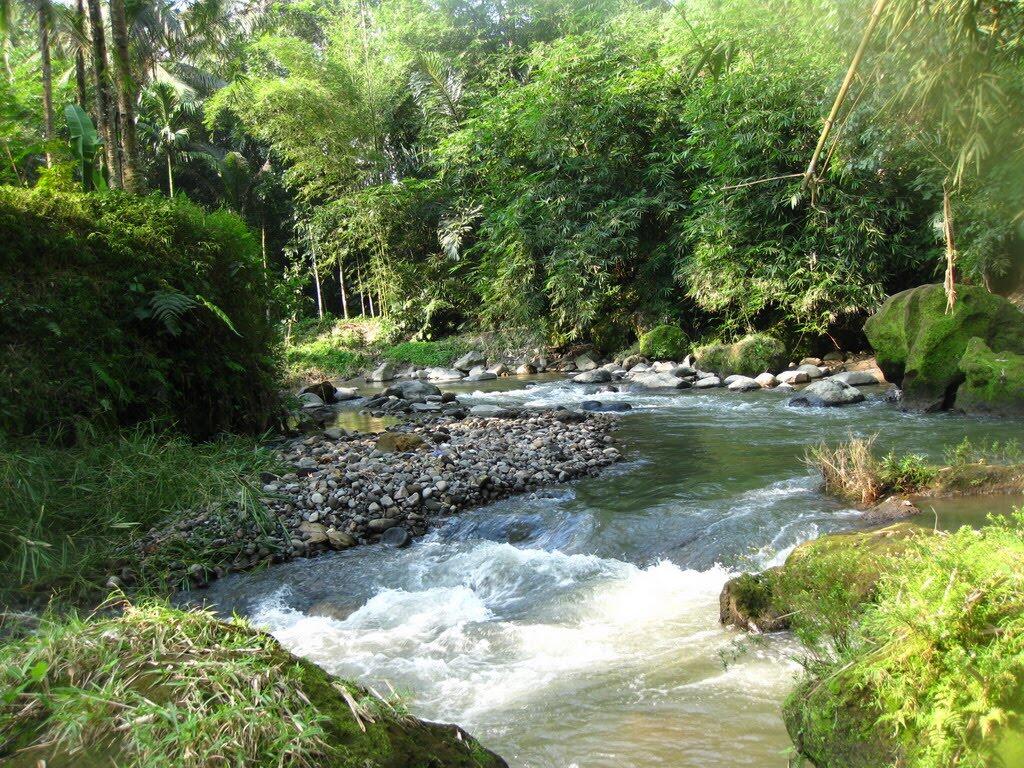 Tempat Nongkrong yang Anti-Mainstream