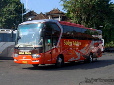 Mari Mengenal Model Bus Yang Ada Di Indonesia +PICT