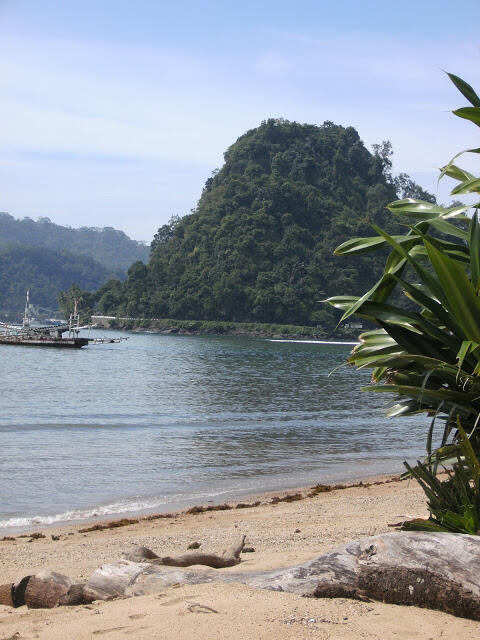 welcome to padang city