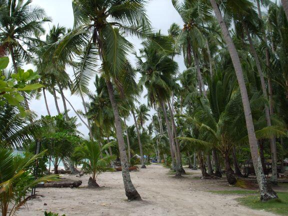 welcome to padang city