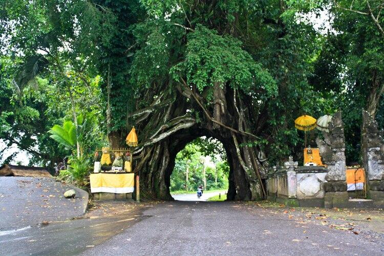 5 Jalan Paling Unik dan Menakjubkan, cek tekape gan!!!