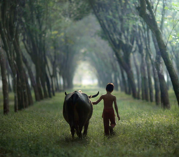 Enjoy Indonesia by Achmad Munasit (Indonesian photographer)