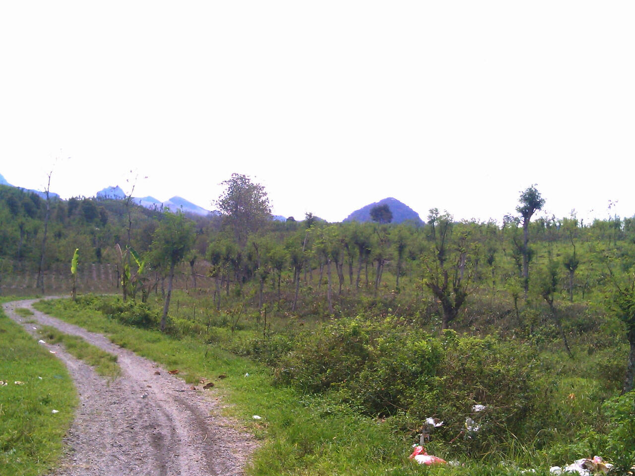 &#91;PIC+STORY&#93; Kondisi Gunung Kelud 2 Minggu Setelah Letusan 13 Februari 2014.