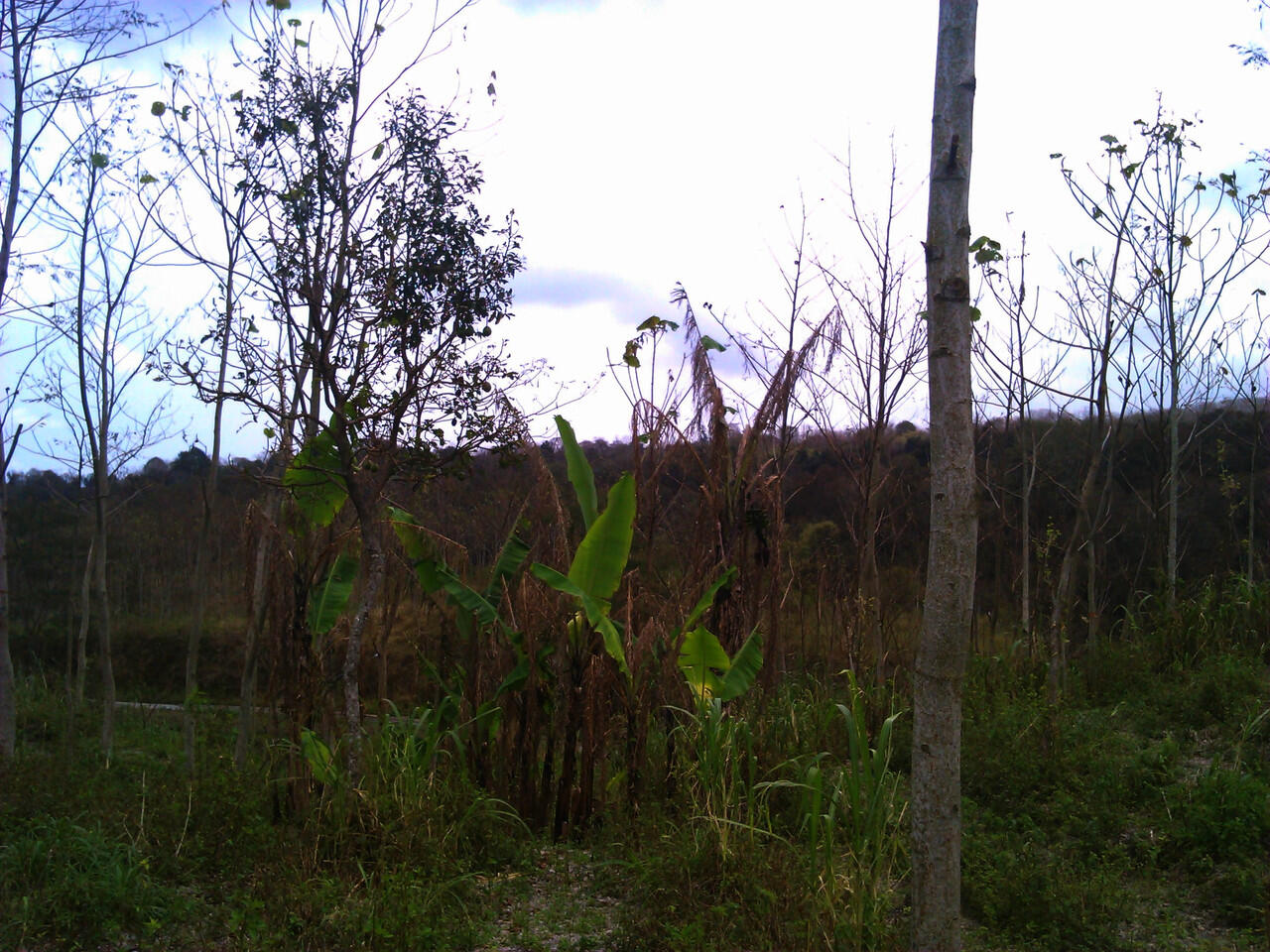 &#91;PIC+STORY&#93; Kondisi Gunung Kelud 2 Minggu Setelah Letusan 13 Februari 2014.