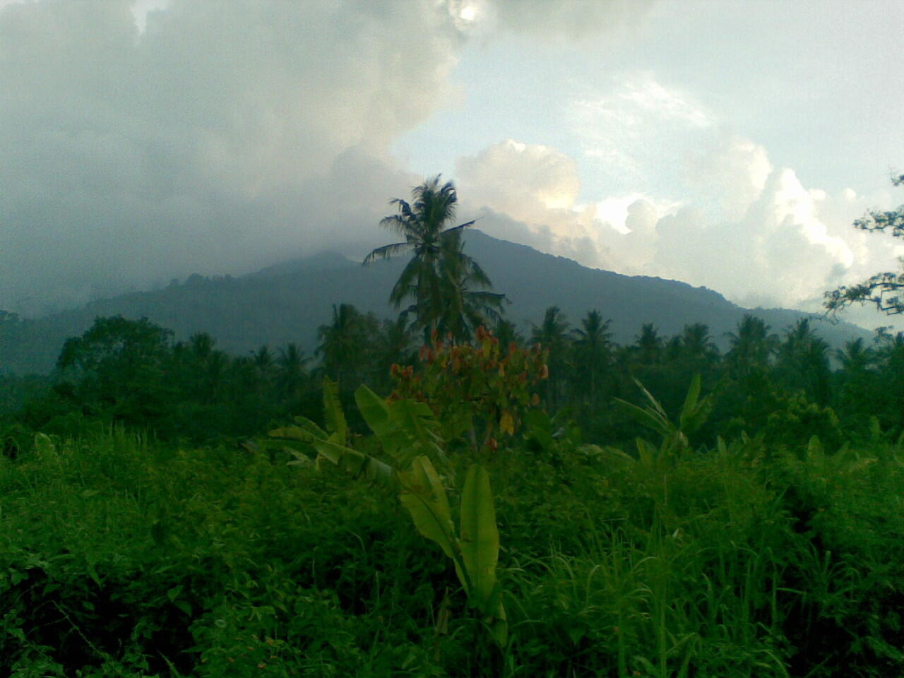 ternyta Raja Bahasa Itu ada di daerah ane gan 