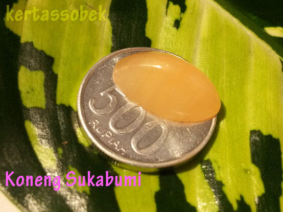 Lelang Akik Asik-Asik