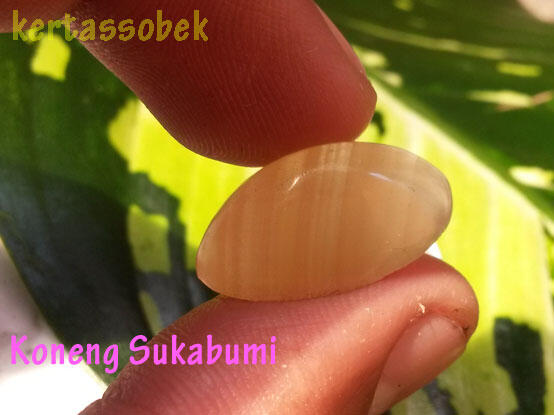 Lelang Akik Asik-Asik