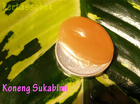 Lelang Akik Asik-Asik