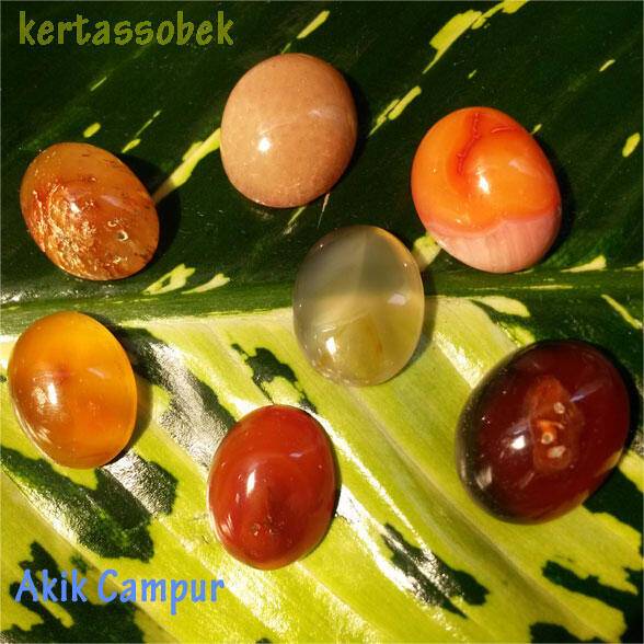 Lelang Akik Asik-Asik