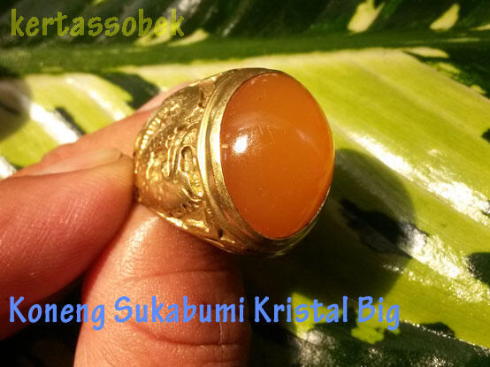 Lelang Akik Asik-Asik