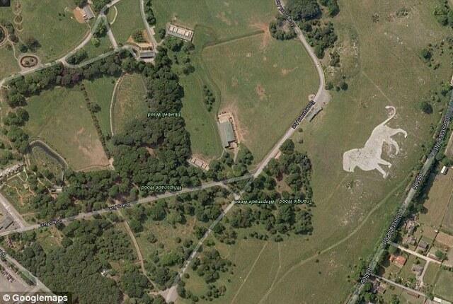 Simbol&quot; yang tertangkap oleh google earth
