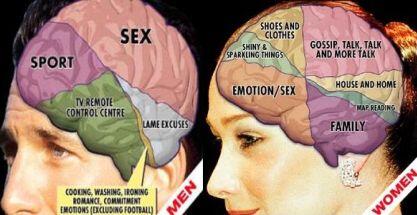 Inilah Yang Dikerjakan Organ Tubuh Saat Kita Tidur